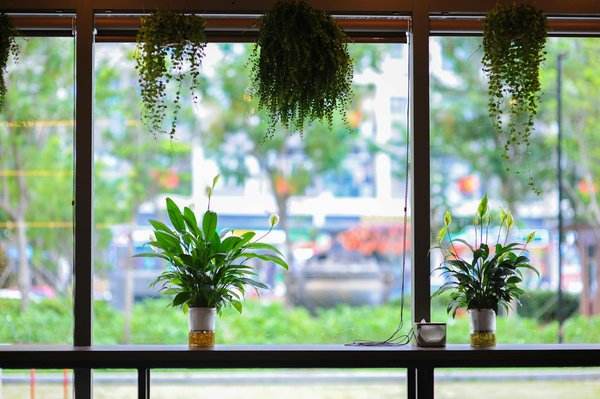 Quelle est la marque de valise la plus solide?