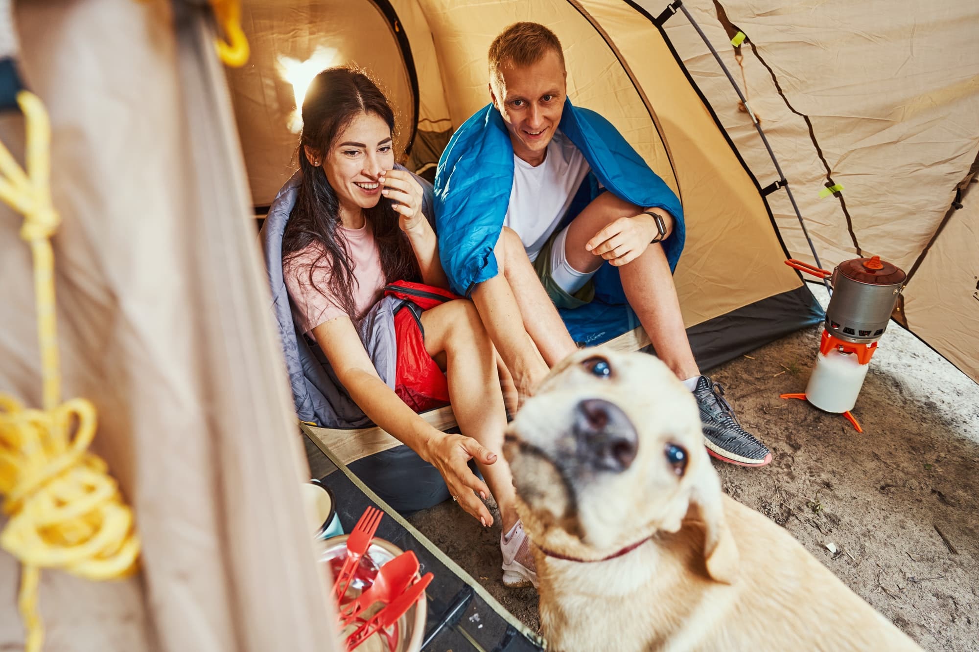 Peut-on apporter ses animaux de compagnie au camping Rancho Davaine ?